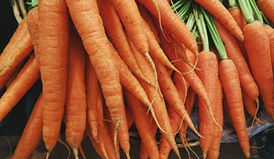 Carrot picture